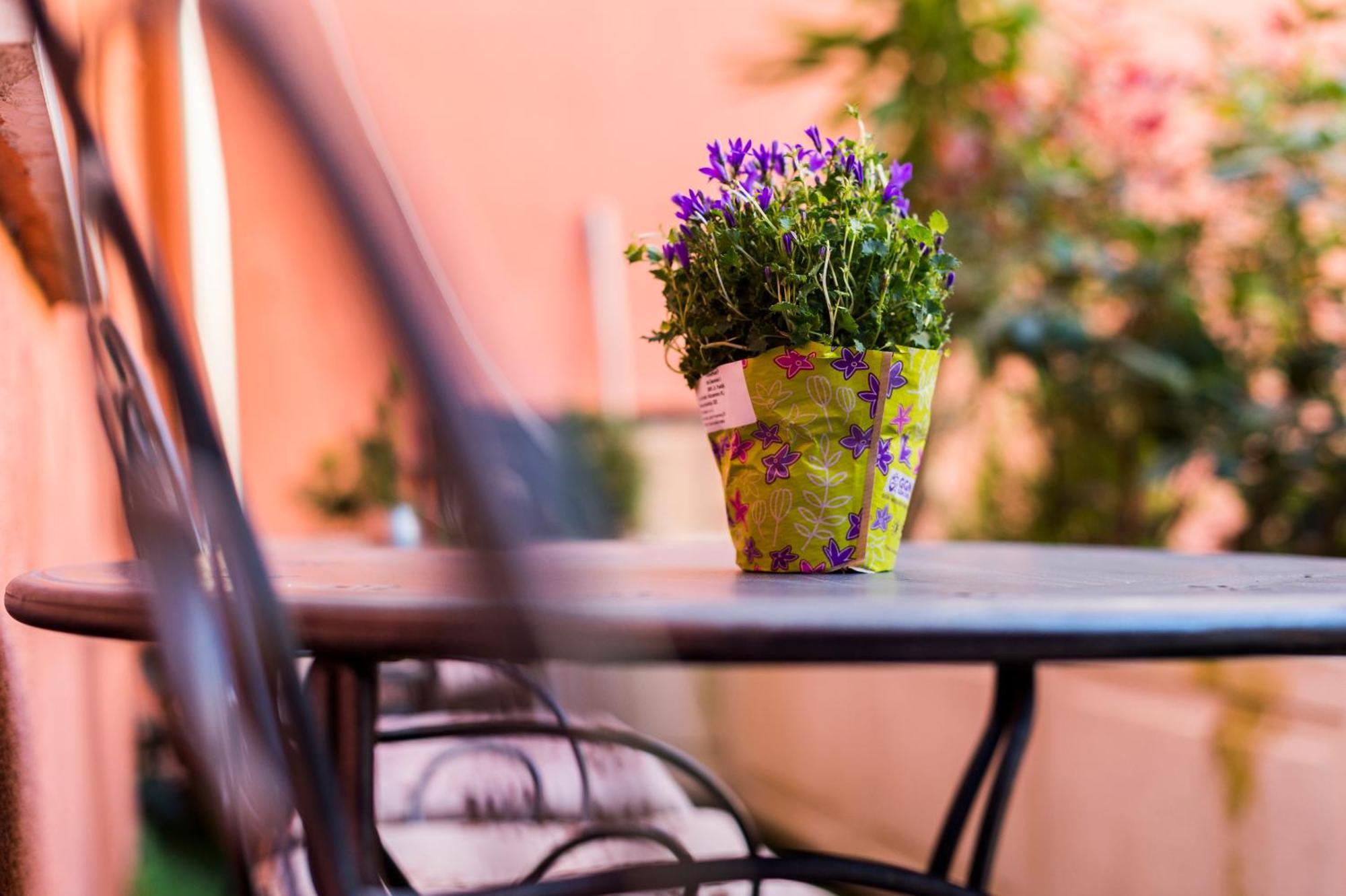 Apartament Serenity *