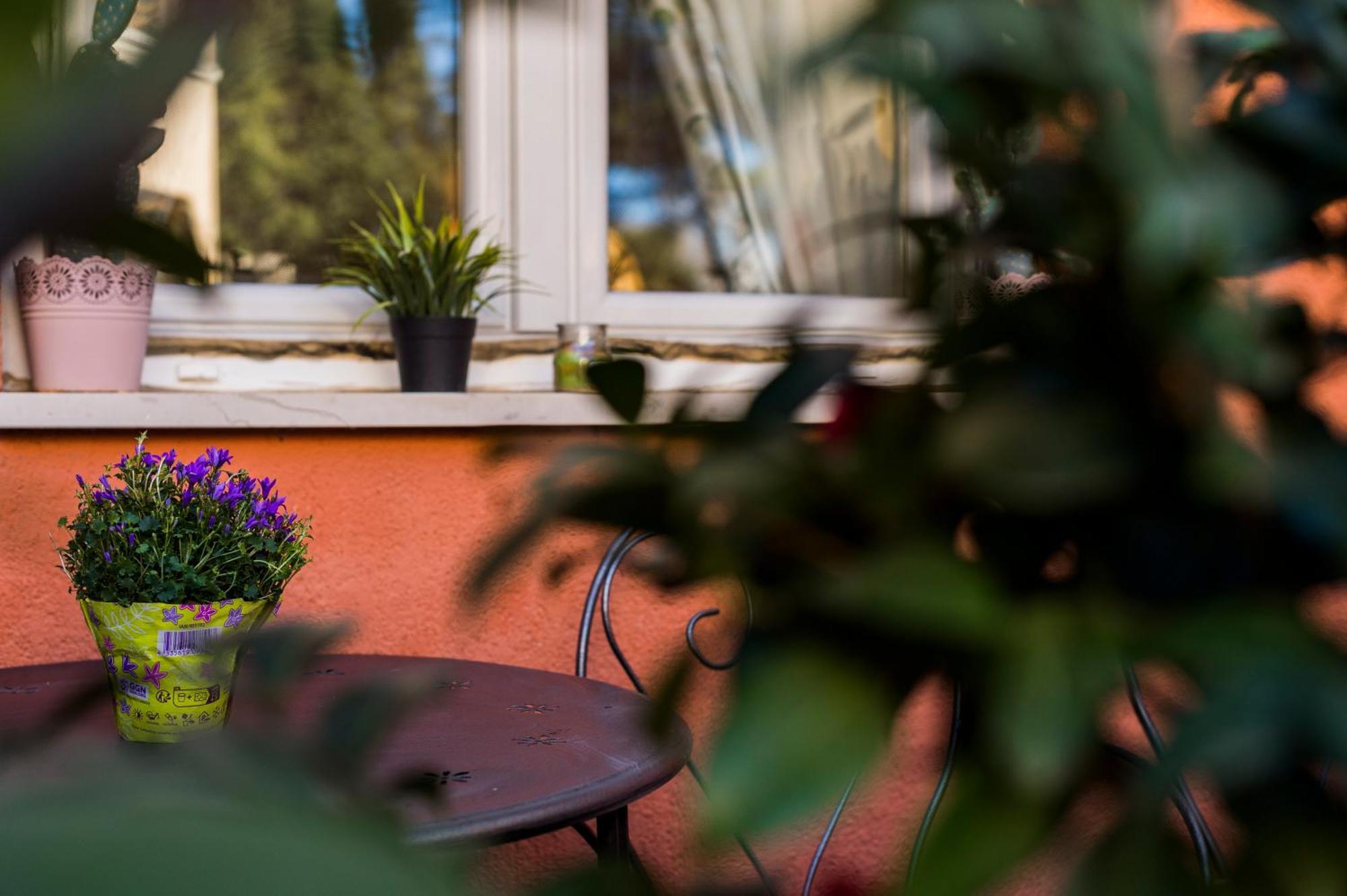 Apartament Serenity